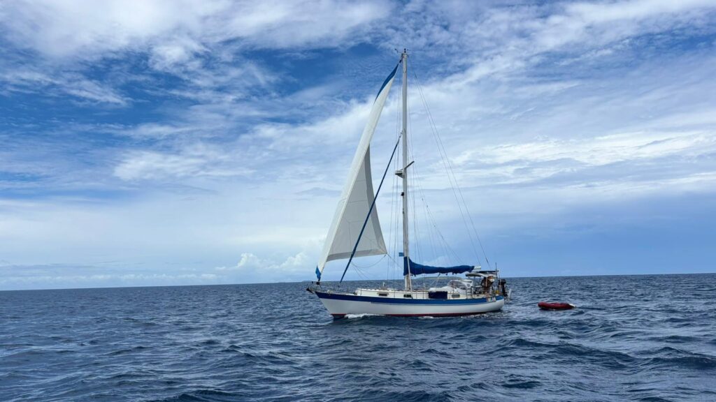 solosailing baloo